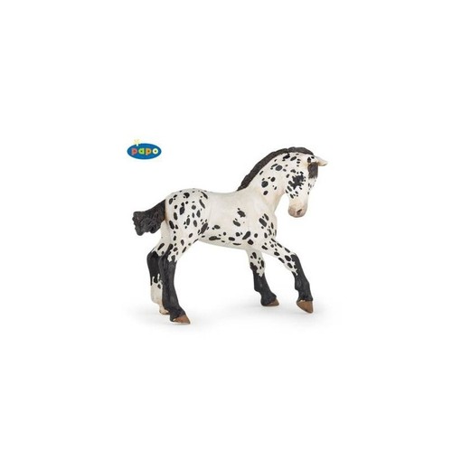 51540 poulain appaloosa - 51540,