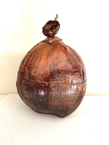Noix coco seau glaçons - de,