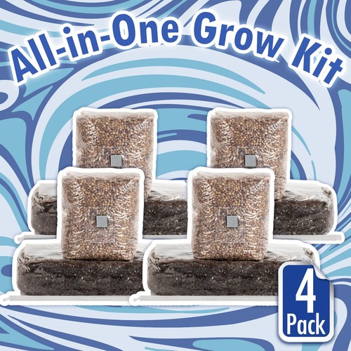 All one mushroom - mushroom, grow