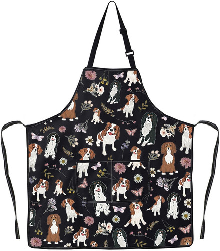 Cavalier king charles spaniel - king,