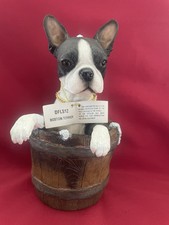 Boston Terrier Dog Figurine Large Special by Conversation Concepts DFLS12