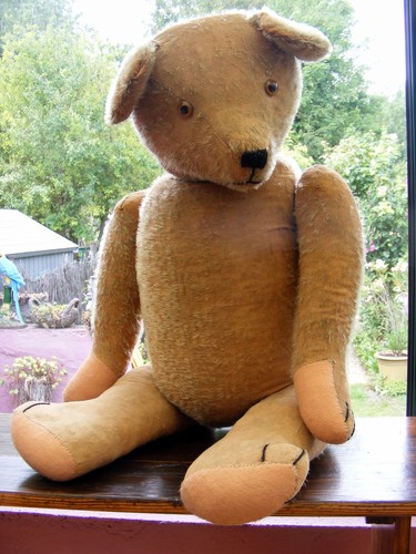 Robinson grand ours ancien - , 85