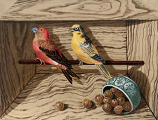 SUPERBE DESSIN GOUACHE