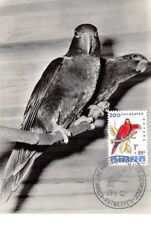 1962 .carte maximum .belgique .102680 .lori rouge .zoo .cachet antwerpen .