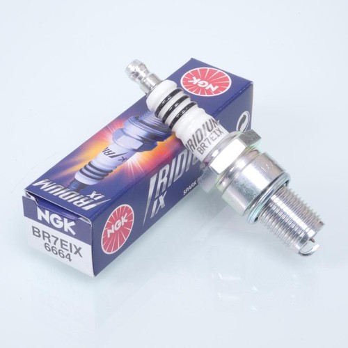 Bougie allumage ngk - d'allumage, pour