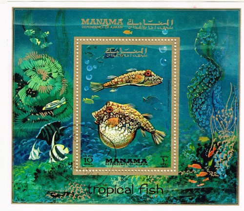 Manama fauna marine life - marine,