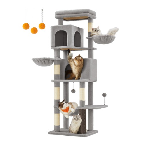 Arbre chat tour - tour, de