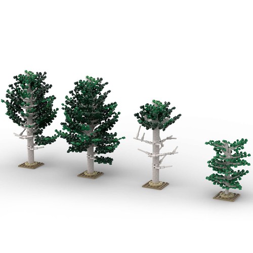Zitianyoubuild whitebark pine - zitianyoubuild,