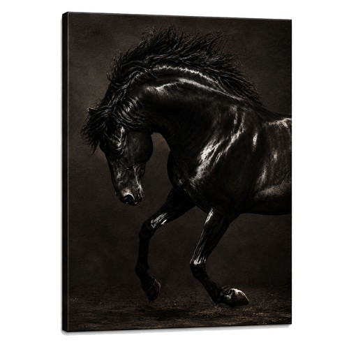 Cadre toile cheval - en,