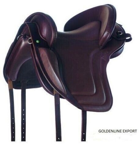 Selle espagnole sans - , arbres