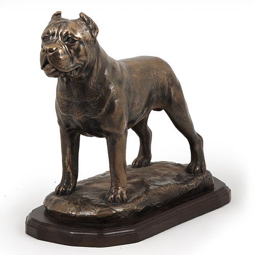 Cane corso exklusive serie - cane,