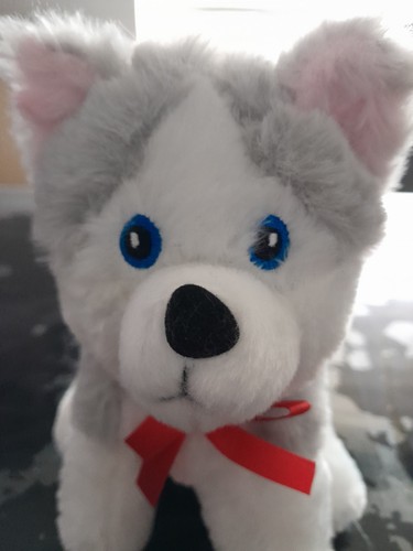 Peluche chien huskie - peluche,