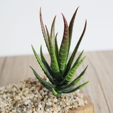 Plante d'aloès artificielle décoration intérieure mini succulentes réalistes
