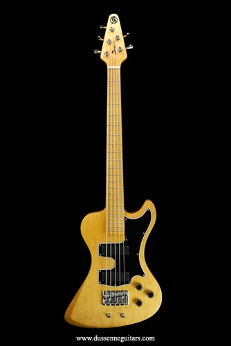Guitare basse cordes - guitare, 5
