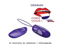 24h/48h Oeuf Vibrant sextoy