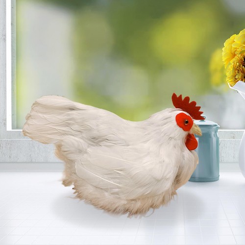Modèle poule blanche - de,