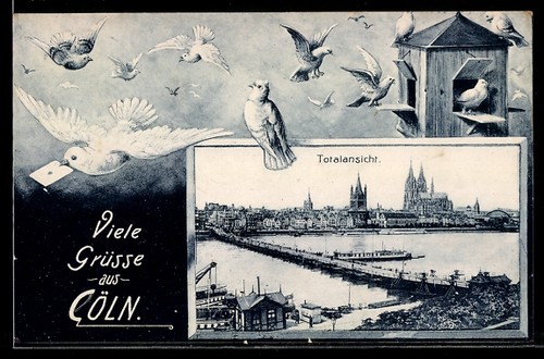 Carte postale vœux - postale, de