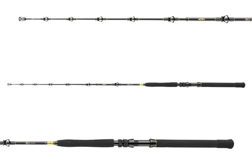Daiwa big game canne - daiwa, bg
