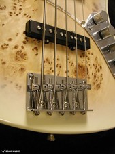 Basse électrique Bacchus