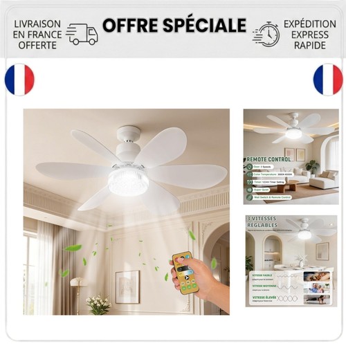 Ventilateur plafond avec - de,
