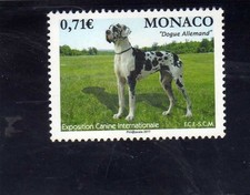 MONACO ANNEE 2017 3068   DOGUE