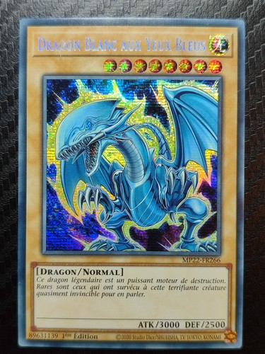 Dragon blanc aux - dragon,