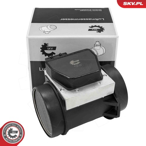 Esen skv débitmètre air - esen,