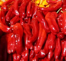 Lot De 10 Graines De Piment