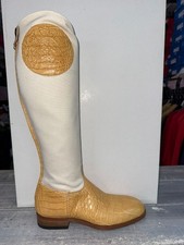 Alberto Fasciani Bottes