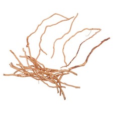 20 Pcs Bois Flotté Pour