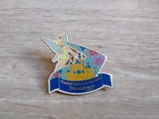 pin's disneyland resort fee