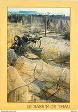 34 - Etang de Thau - On the banks of the Thau Basin - Fishing nets - CPM - V