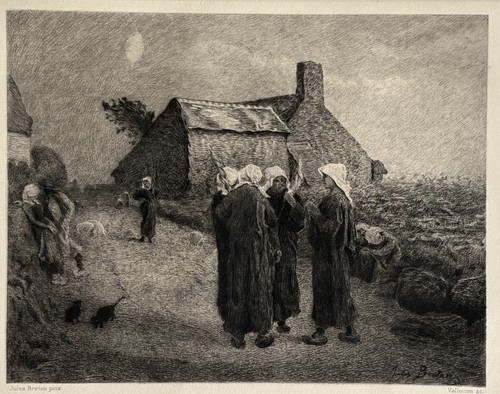 Félix vallotton jules - félix,