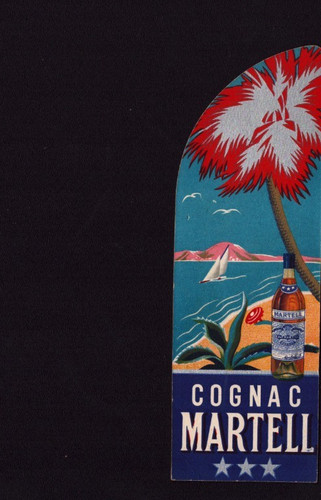 Cognac martell - cognac, (16)
