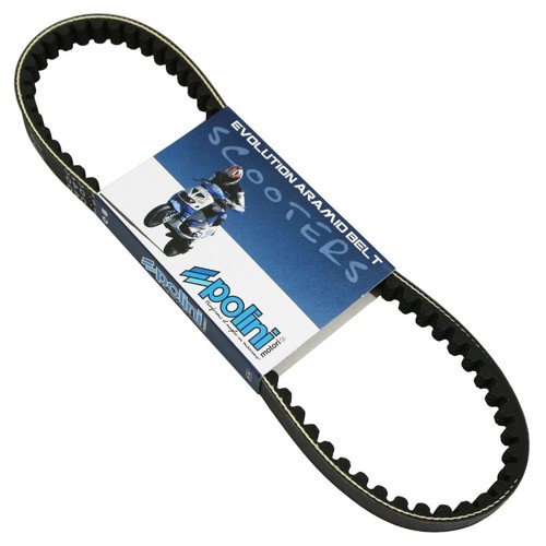 Courroie scoot polini aramid - courroie,