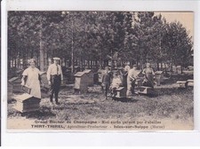 ISLE-sur-SUIPPE: thiry-thirel