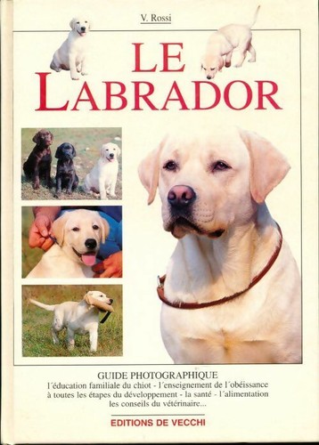 Labrador valeria rossi - -,