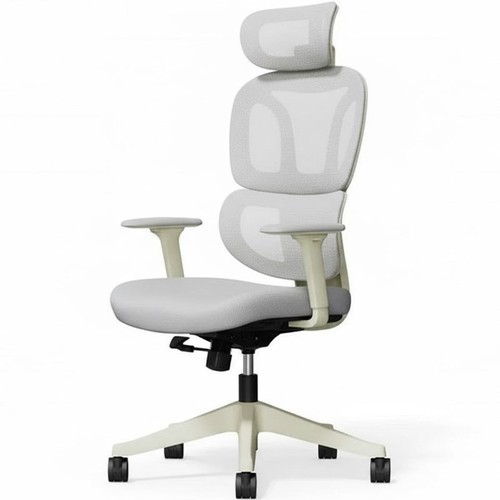 Chaise bureau ergonomique - chaise,