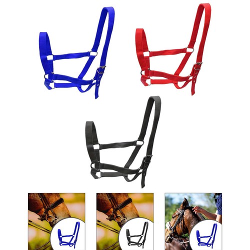Licol cheval harnais réglable - licol,