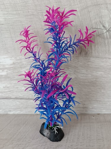 Plante plastique bicolore - plante,