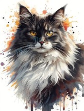 Photo A4 Black White Maine