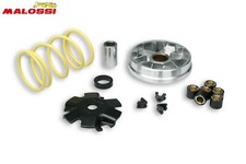 Variateur MALOSSI Multivar