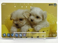 Carte téléphonique carte