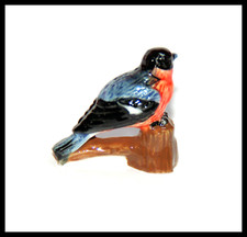 FÈVE SUR LES OISEAUX QUI