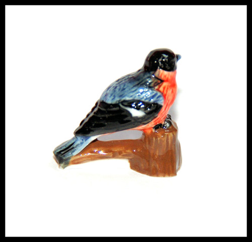 Fève sur les oiseaux - fÈve,
