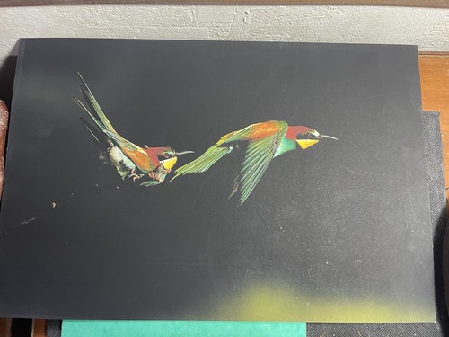 Litho après photographie - litho, d’après