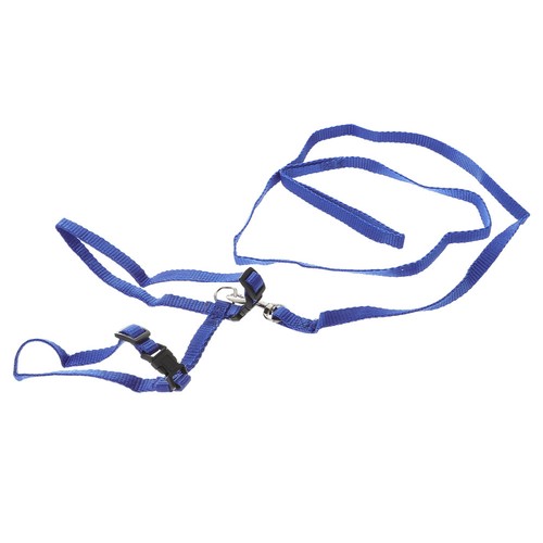 Laisse lapin harnais - harnais, ceinture