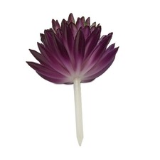 Décoration de bureau cadeau