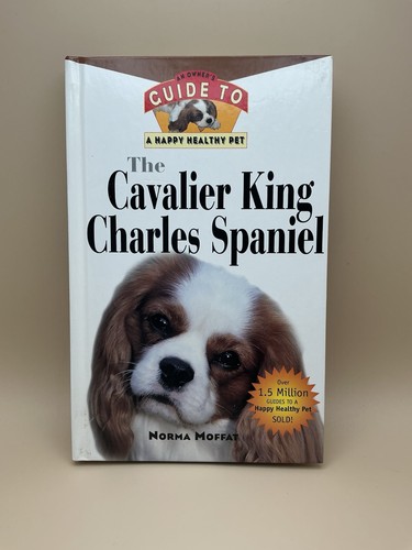 The cavalier king charles - cavalier,