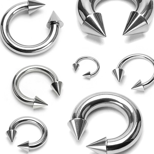 Piercing fer cheval en - cheval,